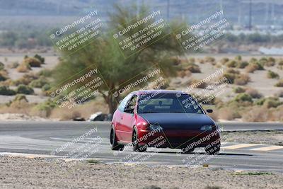 media/Oct-24-2025-Doghouse Garage (Fri) [[783d2ff07a]]/1-Advanced/Session 2 Turn 5 Tree of Life/